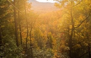 fall in the smoky mountains