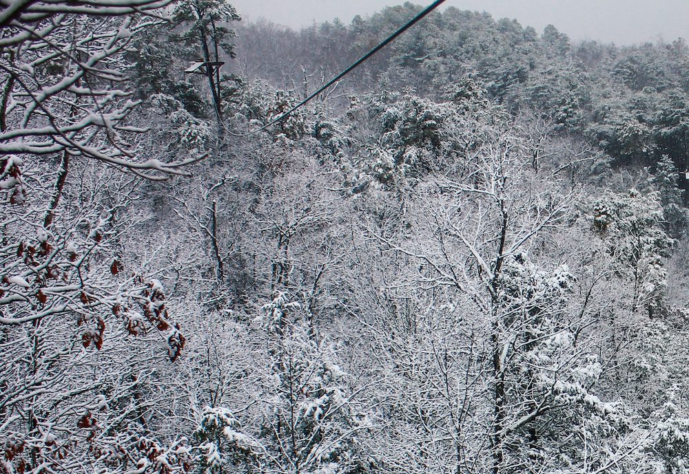 Best winter hikes 2024 in the smokies