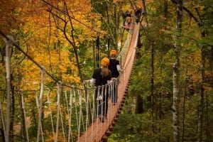 sky bridge in the fall