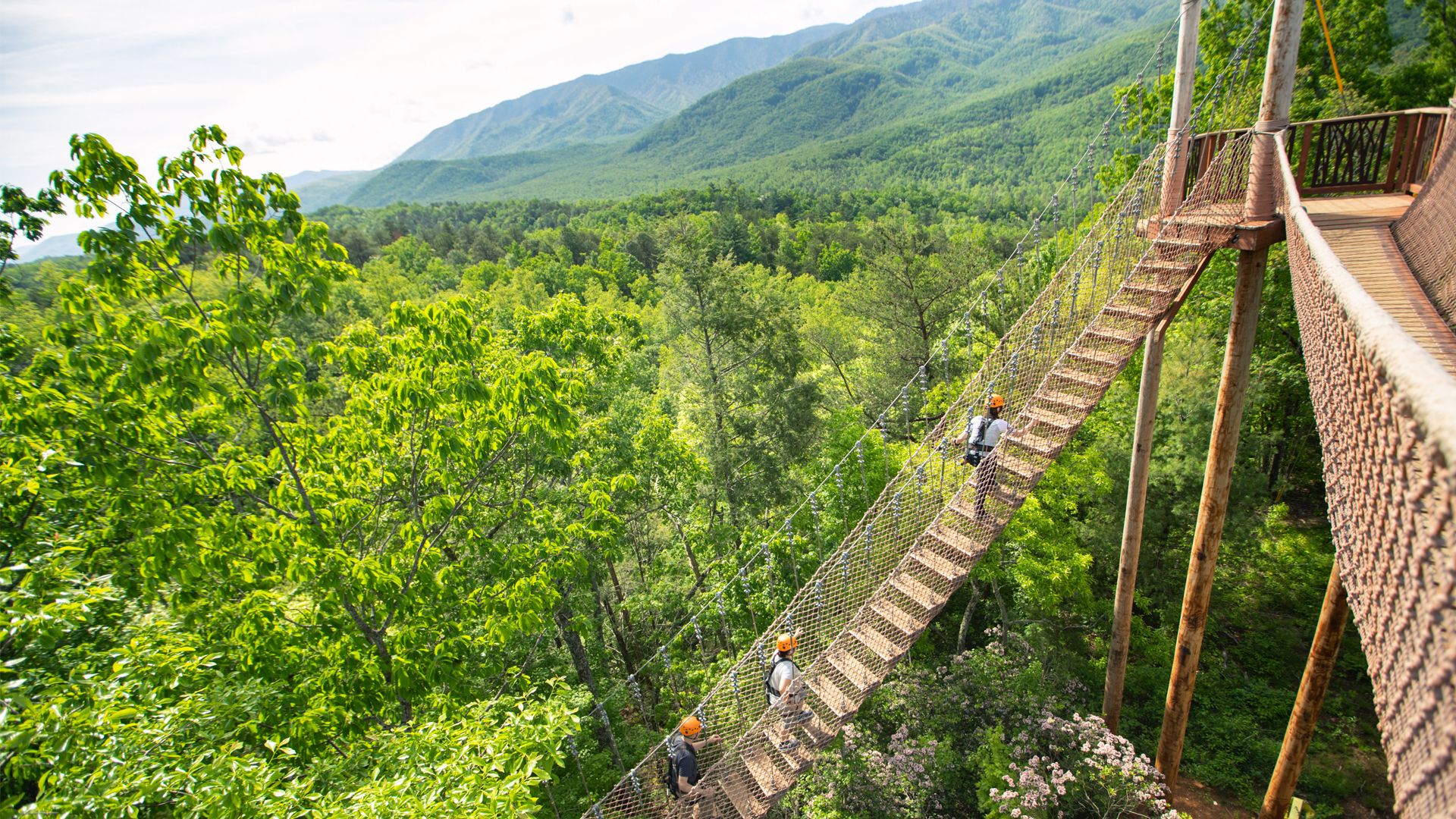 Pigeon Zipline Tour in Gatlinburg, Smoky Mountains