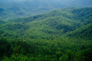 smoky mountains from ziplines