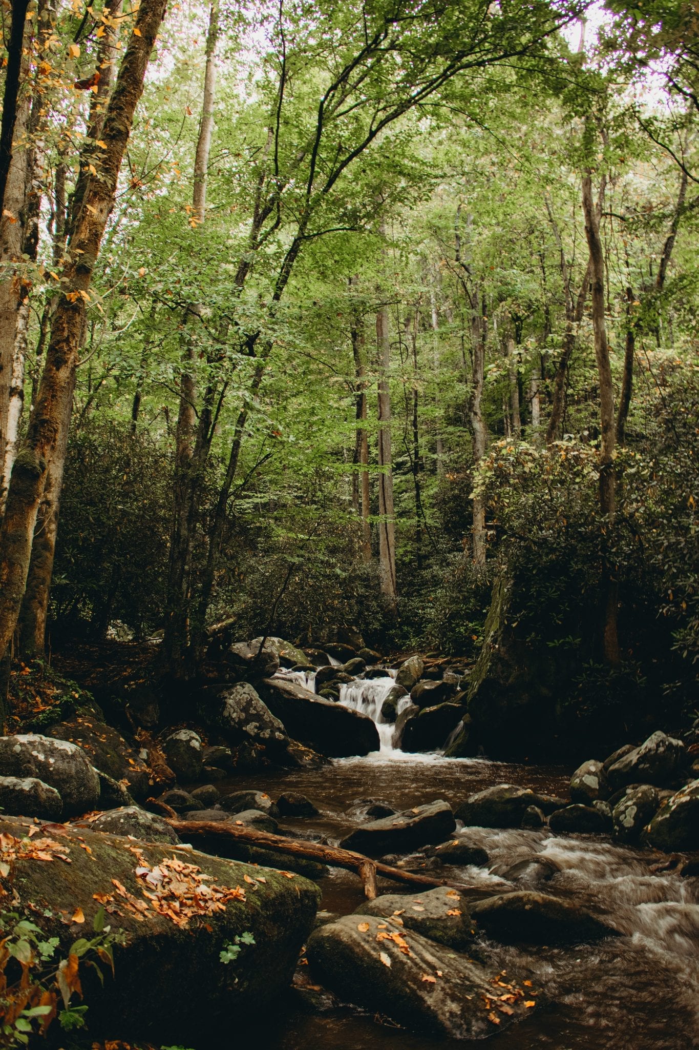 Top 5 Drives through the Smoky Mountains | CLIMB Works