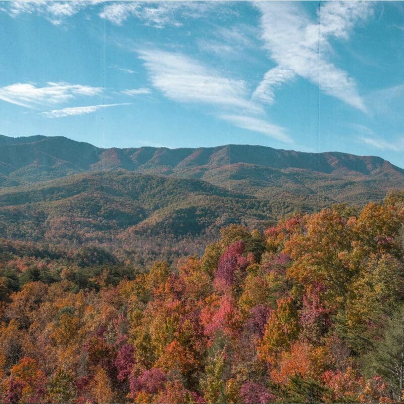 This image portrays Our Seasonal Guide to Visiting the Smoky Mountains by CLIMB Works.